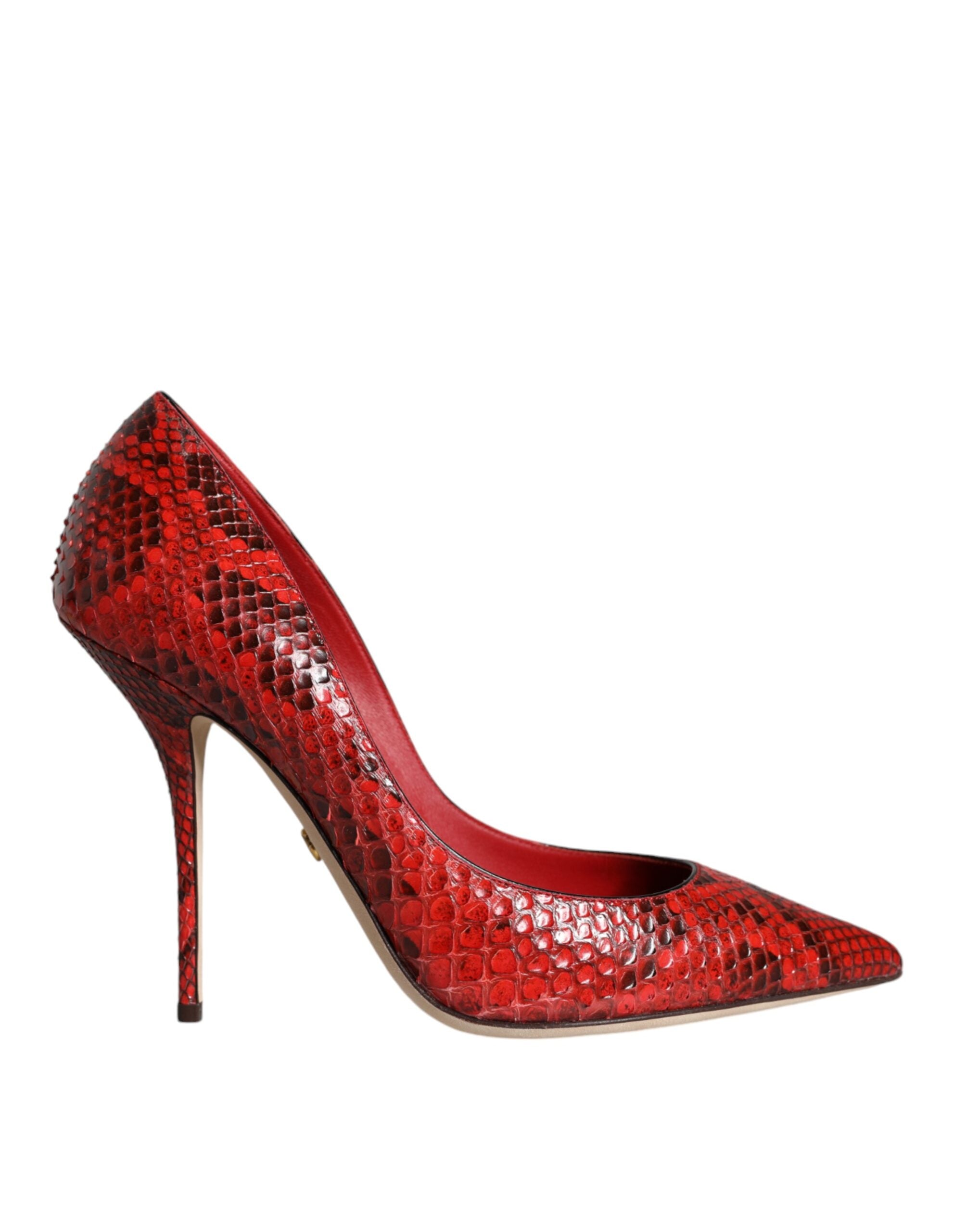 Escarpins Dolce & Gabbana en cuir de python