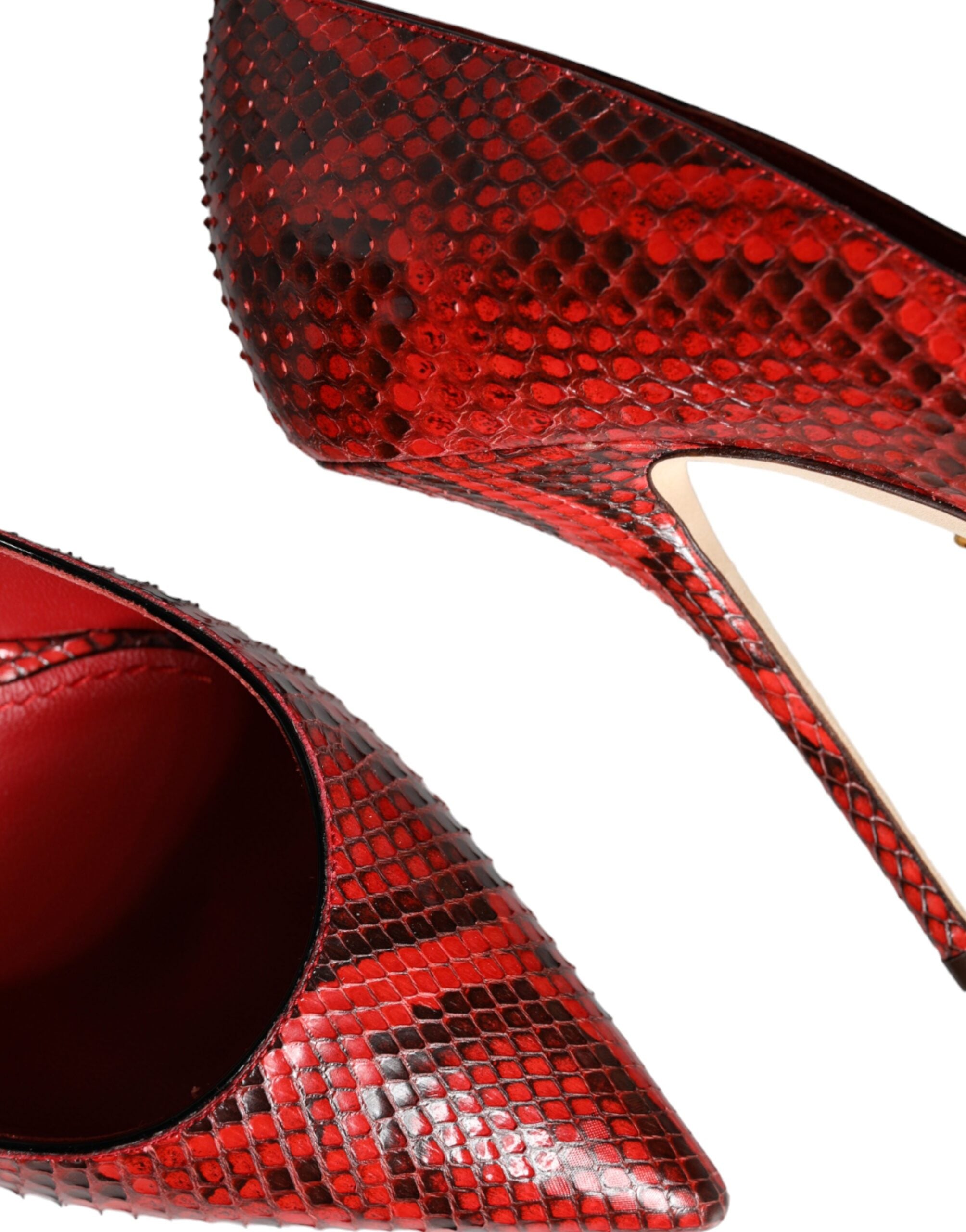 Escarpins Dolce & Gabbana en cuir de python