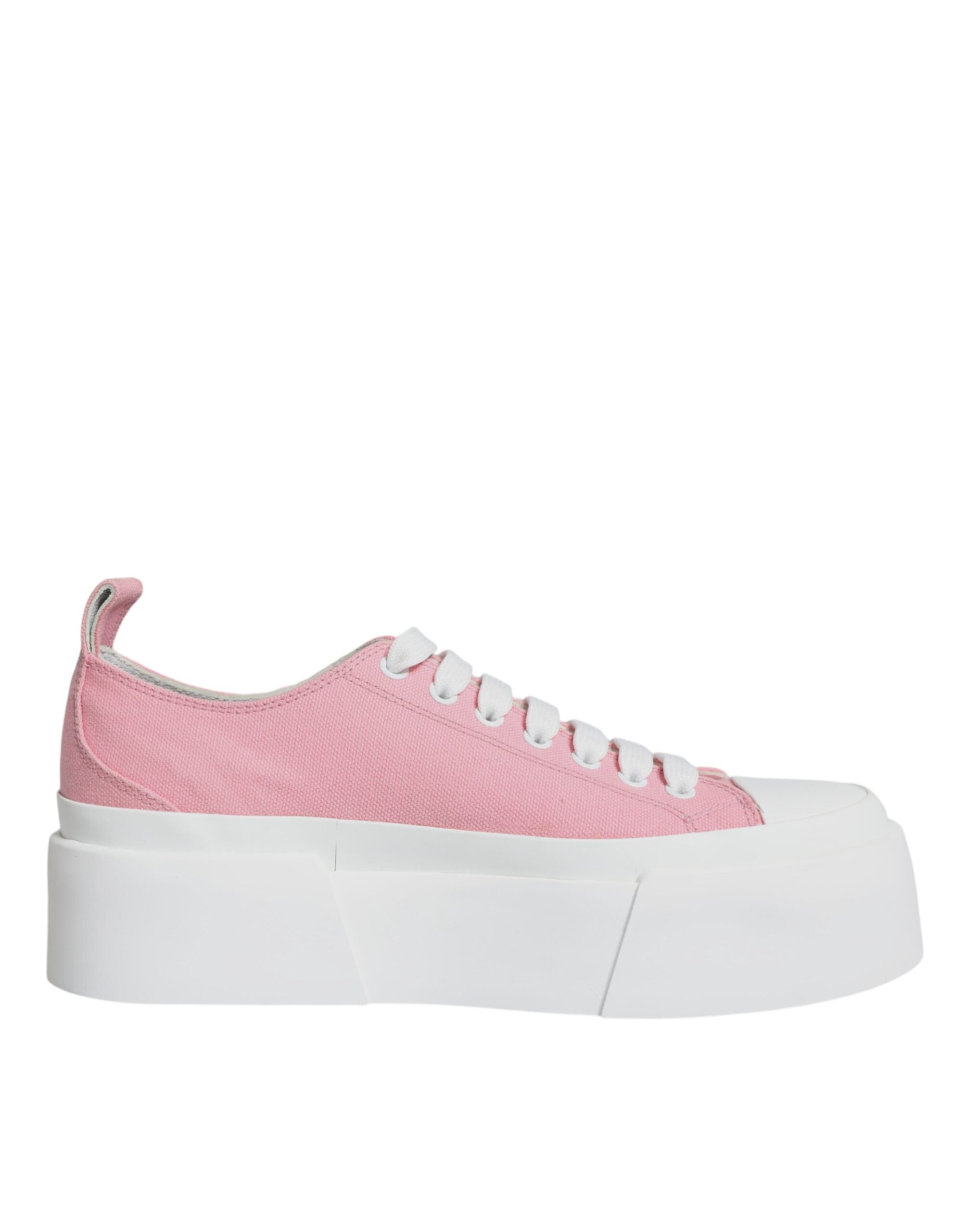 Dolce & Gabbana Low-Top Sneakers